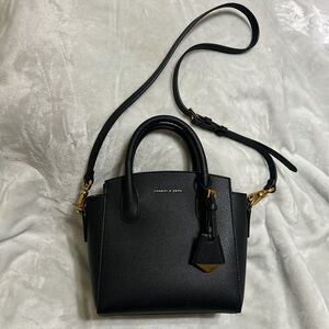 Charles & Keith Black Mini Crossbody Bag with Gold Accents